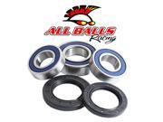 All Balls Wheel Bearing And Seal Kit 25 1606
