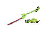 Sunrise Global Marketing 22272 40V Gmax 2.0Ah Extended Reach Hedge Trimmer