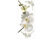 RoomMates RMK1315GM White Orchid Peel and Stick Wall Decals