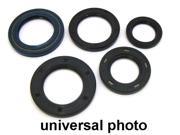 Winderosa 822203 2002 2006 Bombarier 4 Cycle 650 4 Cycle Ds Oil Seal Set Bombard
