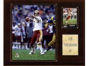 C and I Collectables 1215THEIS NFL Joe Theisman Washington Redskins Player Plaqu