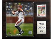 C and I Collectables 1215DALTON NFL Andy Dalton Cincinnati Bengals Player Plaque