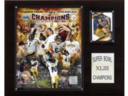 C and I Collectables 1215SB43GD NFL Steelers Super Bowl XLIII Limited Edition Ch