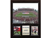 C and I Collectables 1215RAYJST NFL Raymond James Stadium Plaque