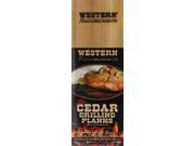 Western Planks 2pc Pack of 12