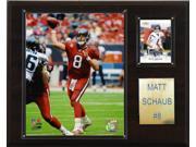 C and I Collectables 1215SCHAUB NFL Matt Schaub Houston Texans Player Plaque