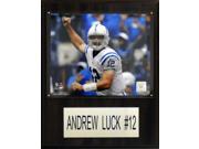 C and I Collectables 1215LUCKH NFL Andrew Luck Indianapolis Colts Player Plaque