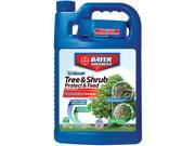 Bayer Gal 12 Month Tree and Shrub Protect and Feed