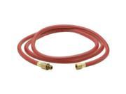 Amflo AMF25L 60BD 1 4 Inch NPT Lead In Hose Assembly