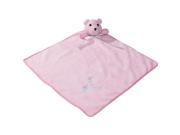 Zanies ZW052 79 Snuggle Bear Blanket Pink