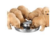 Proselect ZW018 14 Puppy Dish 14.5In