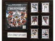 C and I Collectables 1620SC13 NHL 16 inch x20 inch Chicago Blackhawks 2012 2013