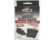 Bonide Products 11100 No Escape Mouse Glue Traps