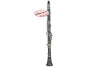 Hawk Bb Clarinet Outfit Matte Finish with Case Mouthpiece and Reed