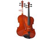 D Luca Meister Student Violin Outfit 3 4