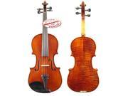 D Luca Orchestral Series 1 2 Violin Outfit