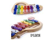 D Luca 8 Notes Rainbow Xylophone Glockenspiels with Music Cards