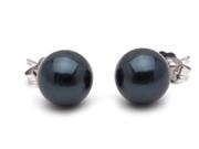 Black Akoya Saltwater Pearl Earrings 7mm AA Quality