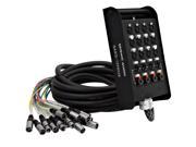 Seismic Audio 12 Channel XLR Snake Cable 25 Feet with XLR and TRS returns on the Box