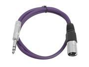 Seismic Audio Purple 3 foot XLR Male to TRS Male Patch Cable Snake Microphone Cord