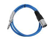 Seismic Audio Blue 2 foot XLR Male to TRS Male Patch Cable Snake Microphone Cord