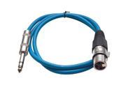 Seismic Audio Blue 2 foot XLR Female to TRS Male Patch Cable Snake Microphone Cord
