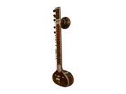 Sitar Standard Dark Padded Nylon Case