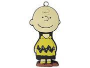 Peanuts Charlie Brown 2GB USB Flash Drive