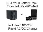 Sony NP FV100 5 Hour Replacement Battery Rapid AC DC Battery Charger For The Sony DCR SX63 DCR SX83 DCR SR68 DCR SR88 SONY HDR CX110 HDR CX150 HDR CX300 HDR C