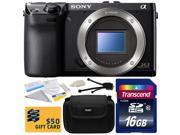 Sony NEX 7 NEX7 NEX7 B Compact 24.3 MP Mirrorless Interchangeable Lens Camera Body Only with 16GB Class 10 SDHC Memory Card Hard Shell Carrying Case Clean