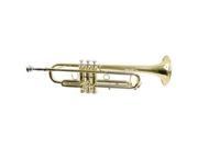Hisonic Signature Series 2110L Bb Trumpet with Case Brass Finish