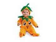 Infant Lil Pumpkin Costume Disguise 1705