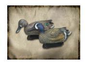 Final Approach FA Gunners HD Blue Winged Teal