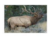 Birchwood Casey Eze Scorer Wildlife 23in. x 35in. Target Elk Per 100 191026