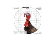 Champion Traps and Targets Re Stick Turkey Sight In 16x16 Target