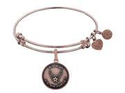 Angelica Collection Brass with Pink Finish Aim High U.S. Air Force Round Expandable Bangle