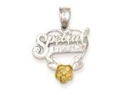 Sterling Silver Special Friend Heart Charm