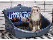 Marshall Pet Products Lock On Litter Pan Medium FP 266
