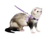 Marshall Pet Products SMR00246 Ferret Walking Jacket