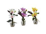 Nearly Natural Mini Cattleya Orchid Arrangement Set of 3