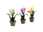 Nearly Natural Cattelya Orchid w Vase Set of 3
