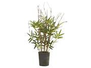 Nearly Natural 27 Bamboo Tree w Cement Pot