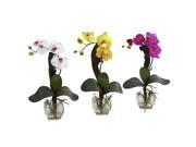 Nearly Natural Mini Phal Orchid Arrangement Set of 3