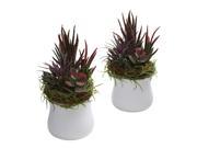Nearly Natural Mixed Succulent w White Planter Set of 2