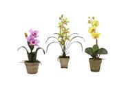 Nearly Natural Potted Orchid Mix Set of 3