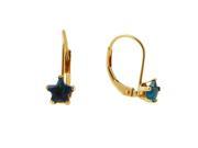 Ladies 14K Yellow Gold Earrings With Crystal