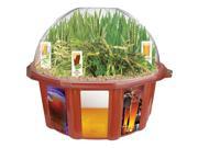 Beer Garden Dome Terrarium