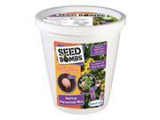 Seed Bomb Bucket Native Perennial Mix