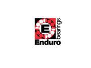 Enduro Bearings 63800 2RS Cartridge 63800 LLB