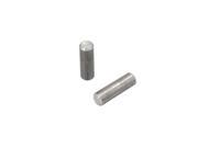 BionX Replacement Dowel for E Bike Systems For Oval Frames 011452
